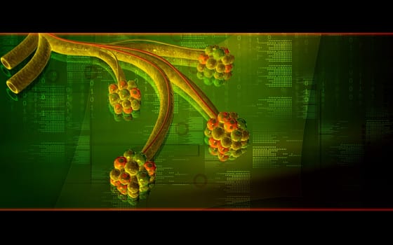 Digital illustration of alveoli in colour background