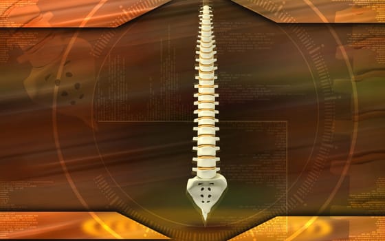 Digital illustration of back bone in colour background