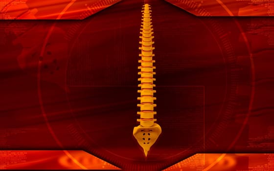 Digital illustration of back bone in colour background