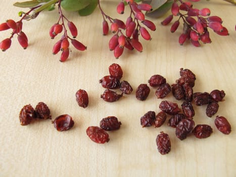 Barberry branch and dried barberry