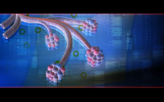 Digital illustration of alveoli in colour background