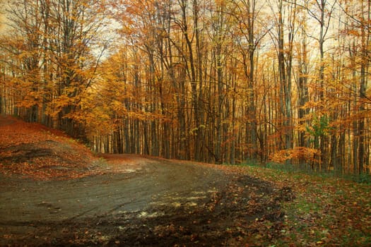 Vintage photo of curving road in autumn forest