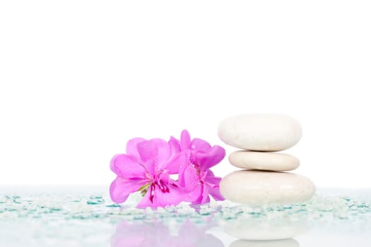 Spa stones and pink flower on white background