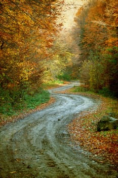Vintage photo of curving road in autumn forest