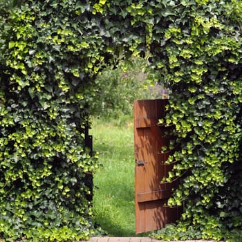 Way into the garden
