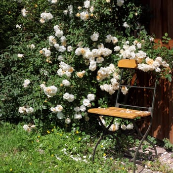 Garden chair with roses and watering can
