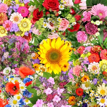 Background with flower bouquets