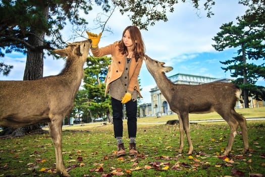 NARA, JAPAN - Nov 21