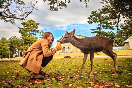 NARA, JAPAN - Nov 21
