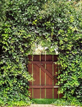 Garden gate with ivy arch