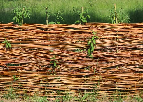 Braided fence from pasture,visual protection