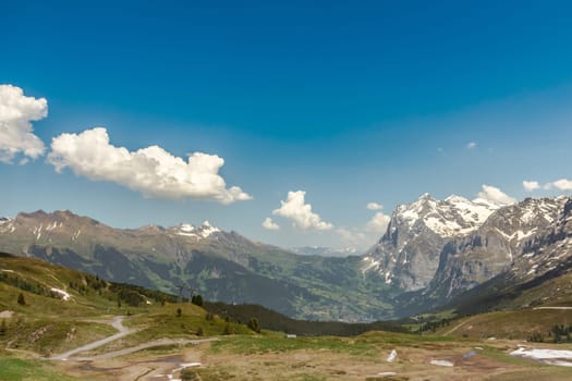 View from Grindelwald in swiss alps, Switzerland