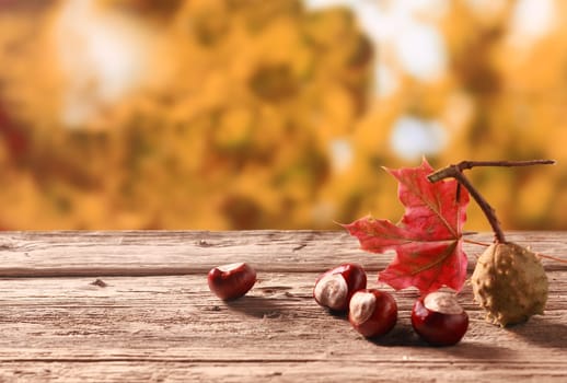 Fresh chestnuts from an autumn harvest lying on an old rustic wooden table with a colorful red leaf against a backdrop of autumn foliage in a garden, with copyspace