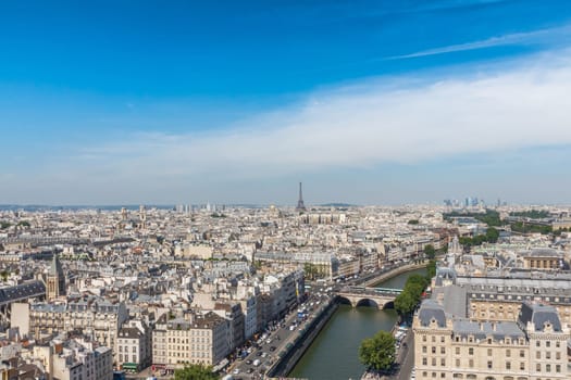 view of Paris from the Notre Dame Cathedral in Paris, France