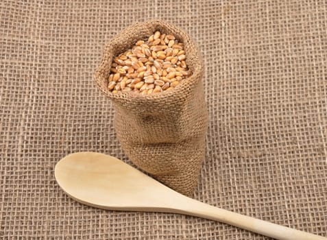 Grain sack on jute