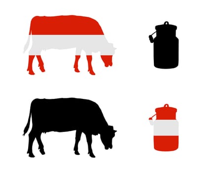 Austrian dairy cow