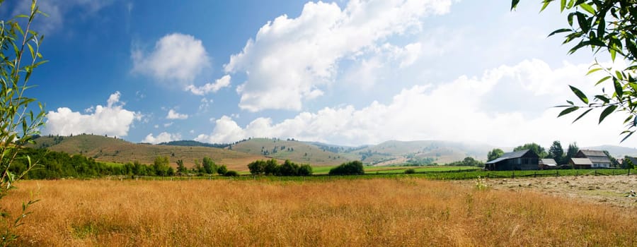Field and blue sky - rural panoramic landscape