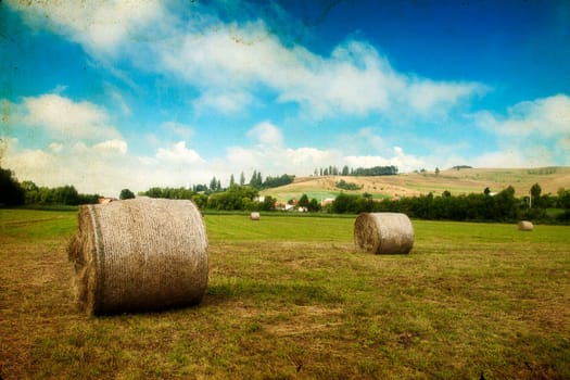Landscape of Hay-roll on field after harvest