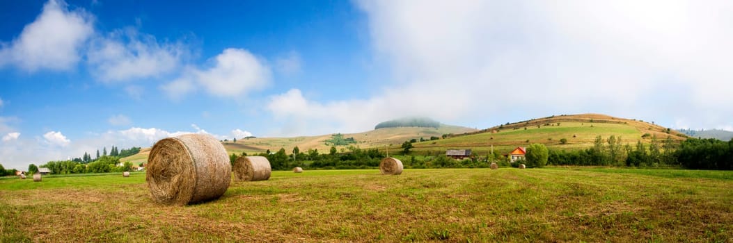 Landscape of Hay-roll on field after harvest - panorama