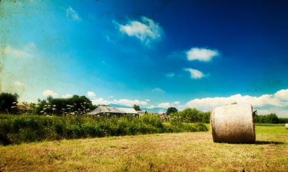 Landscape of Hay-roll on field after harvest