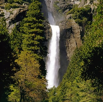 Lower Yosemite Falls in Yosemite National Park