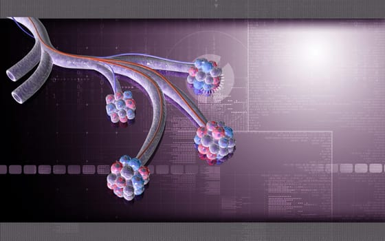 Digital illustration of alveoli in colour background