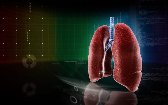 Digital illustration of human lungs in colour background