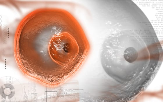 Digital illustration of ovum cell in colour background