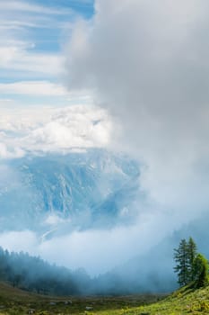 Cloudy L'Arpille Mountain seen from La Giete, in Switzerland, with misty pine trees in the foreground.