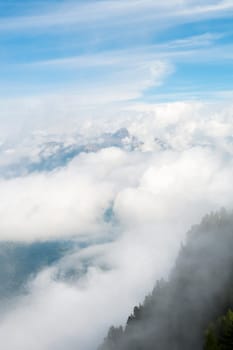 Cloudy L'Arpille Mountain seen from La Giete, in Switzerland, with misty pine trees in the foreground.