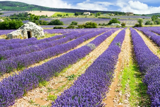 Dmall caban. Summer sunset in Provence, France.