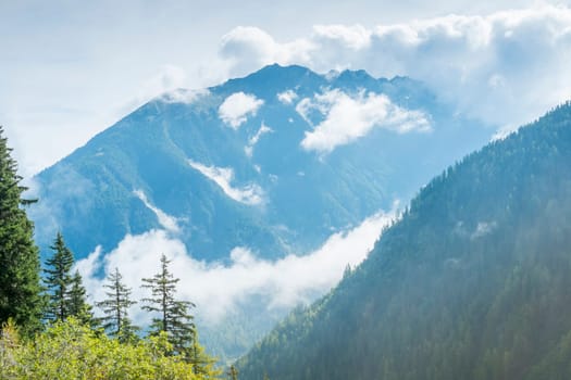 Cloudy Les Ecoteaux mountain seen from Bovine, in Switzerland, with pine trees in the foreground.