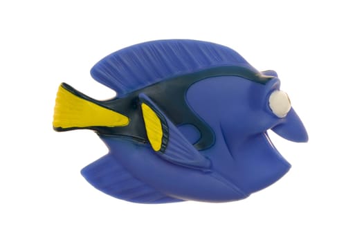 A close up shot of a tropical toy fish