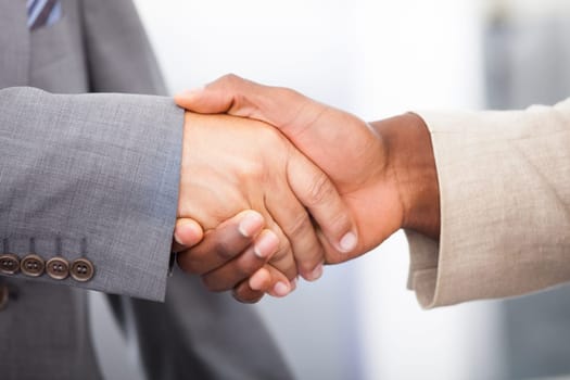 Close-up Of A Two Businessmen Shaking Hand