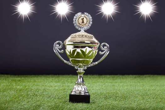 Close-up Of Trophy Cup Lying On Green Pitch Filed