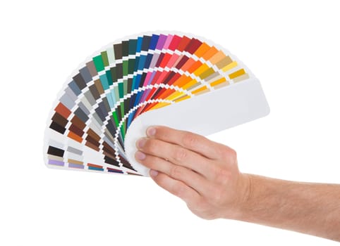 Young Man Holding Color Palette Isolated On White Background