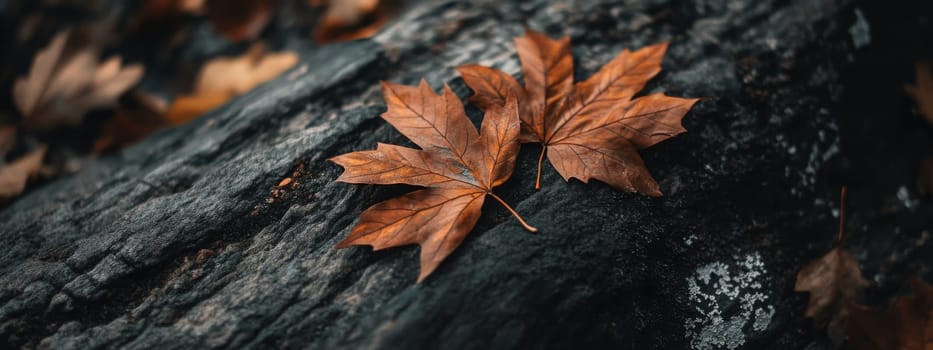 autumn, maple leaves, Generative AI, nature