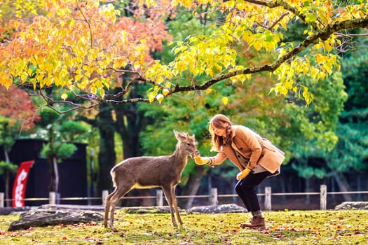 NARA, JAPAN - Nov 21