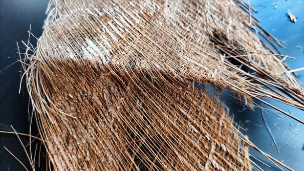 Brown dry palm tree trunk from jungle with interesting texture, background, details. Abstract background, frame, copy space