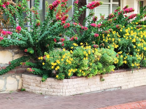 Blooming ornamental plants on a stone flowerbed outdoors.