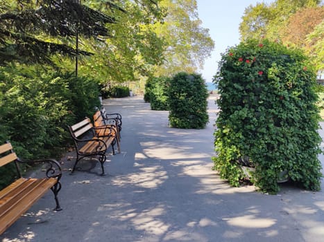 landscape design, ampelous pelargonium in vertical pots in the park.