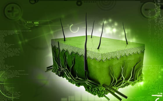 Digital illustration of Skin in colour background