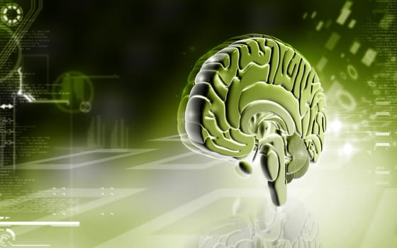 Digital illustration of brain in colour background