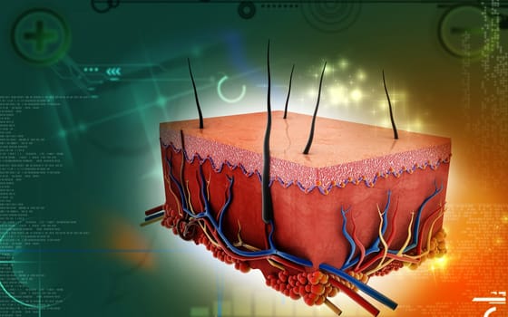 Digital illustration of Skin in colour background