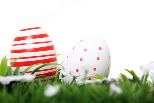 Easter eggs red and white with flowers on a meadow