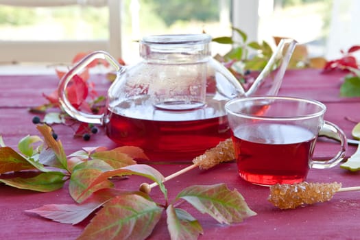 Hot tea in jug and cup with colorful blaetters