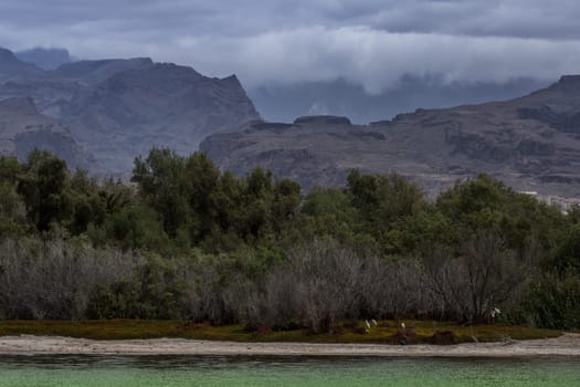 Nature Reserve - La Charca