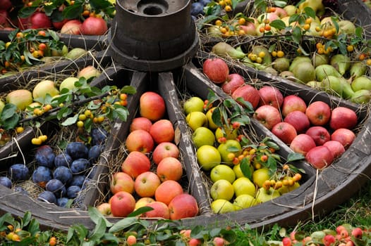 Vegetables and fruits in Herrenhausen Gardens Hanover Germany.