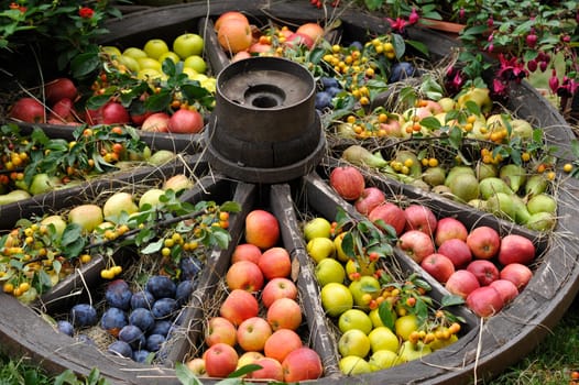 Vegetables and fruits in Herrenhausen Gardens Hanover Germany.