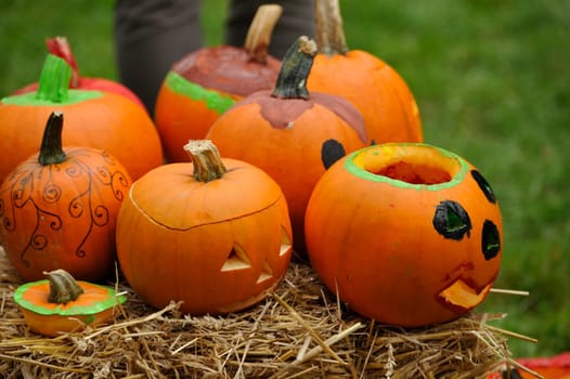Pumpkin,Evergreen Country Look in Herrenhausen Gardens Hanover Germany.
